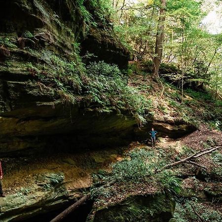 Dunlap Hollow A-Frame Rockbridge Экстерьер фото