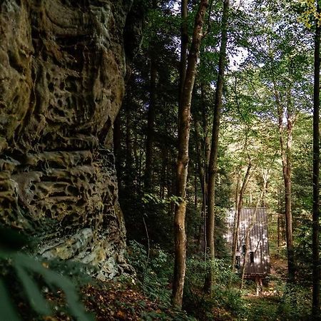 Dunlap Hollow A-Frame Rockbridge Экстерьер фото